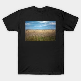 Field of reed T-Shirt